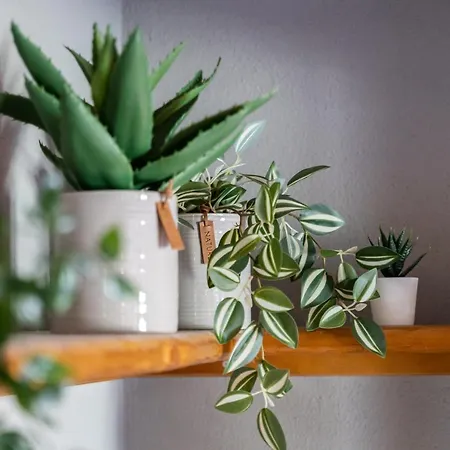 Old 4* Quartu SantʼElena